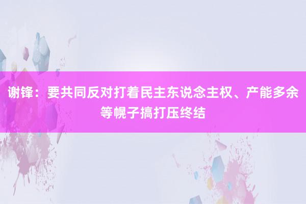 谢锋：要共同反对打着民主东说念主权、产能多余等幌子搞打压终结