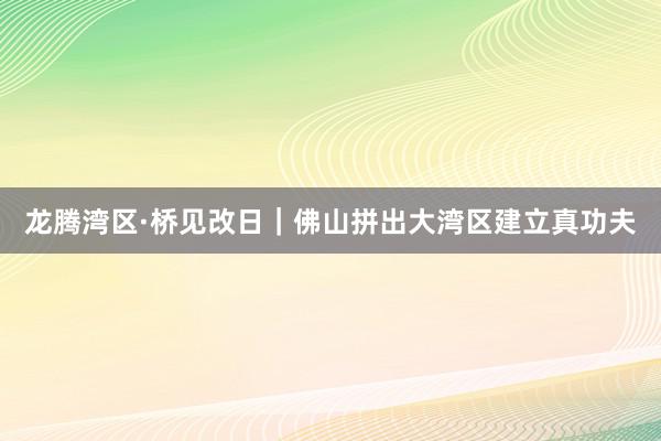 龙腾湾区·桥见改日｜佛山拼出大湾区建立真功夫