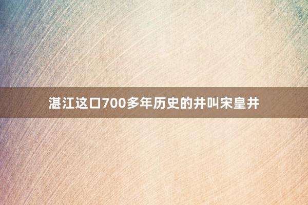 湛江这口700多年历史的井叫宋皇井