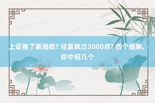 上证推了新指数? 径直跳过3000点? 四个曲解, 你中招几个