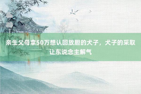 亲生父母拿50万想认回放胆的犬子，犬子的采取让东说念主解气