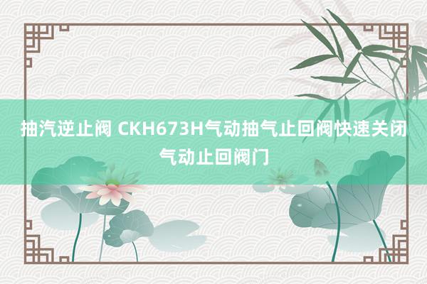 抽汽逆止阀 CKH673H气动抽气止回阀快速关闭气动止回阀门