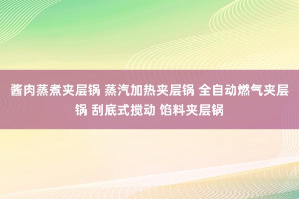 酱肉蒸煮夹层锅 蒸汽加热夹层锅 全自动燃气夹层锅 刮底式搅动 馅料夹层锅