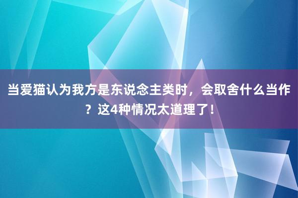 当爱猫认为我方是东说念主类时，会取舍什么当作？这4种情况太道理了！